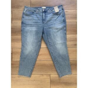 Madewell Jeans 10" High-Rise Roadtripper Skinny Magic Pocket Plus 24W 26” Inseem